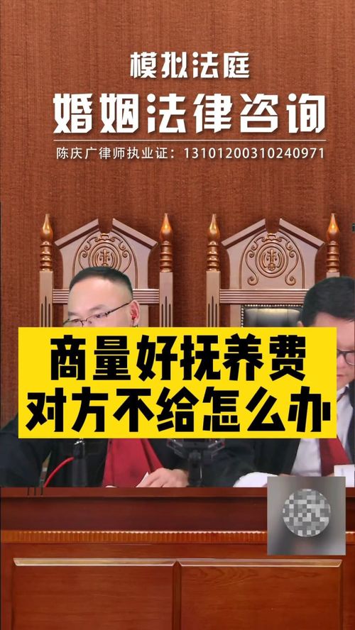 撫養(yǎng)費(fèi)協(xié)商后對方拒不支付，法律途徑如何維權(quán)？