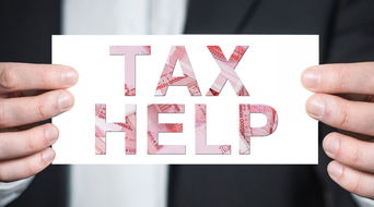 軟件開發(fā)中的退稅 概念、流程與策略解析